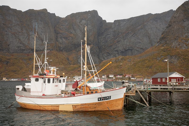 fishing-boats-in-the-harbour-in-lofoten-norway_3652-800x533px