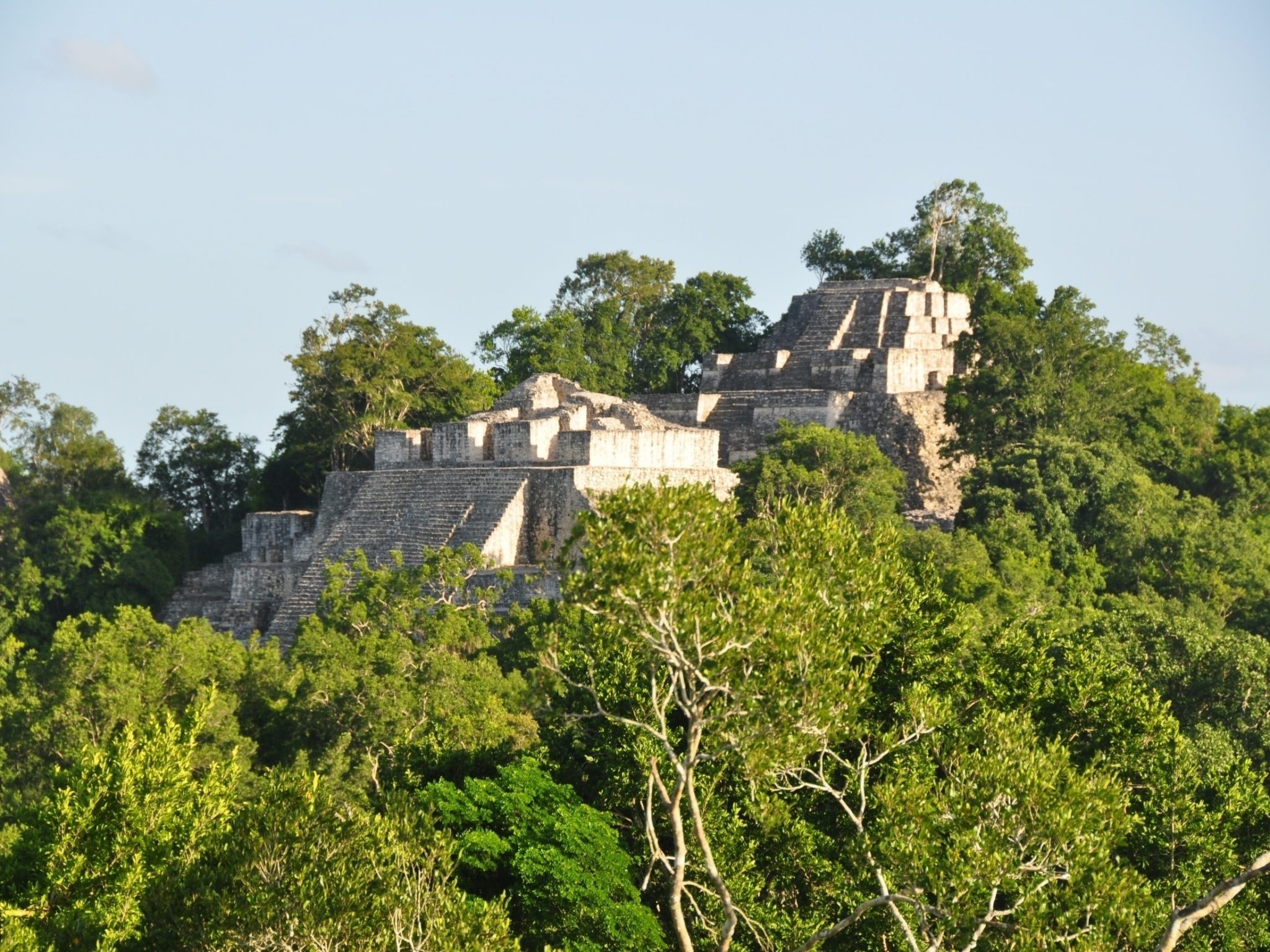 calakmul biosphere reserve tours