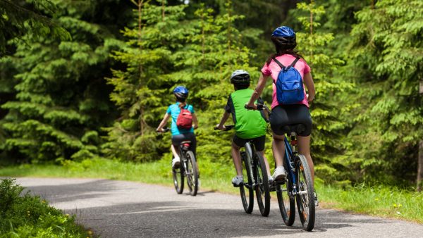 Three cyclist on a bike path in a forest